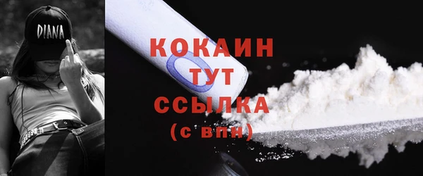 шишки Армянск